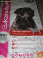 Hrana Za Pse Eukanuba Labrador Retriever (Labradorec) 2,5Kg