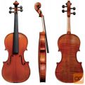 Violina Maestro Ii B 4/4