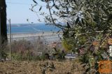 Piran Parecag 2377 m2 Zazidljiva