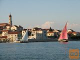 Tisno Betina 2-sobno 50 m2