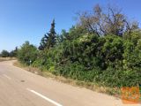 Zadar - Okolica Kožino Nezazidljiva 2065 m2