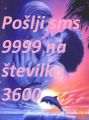 Pošlji 9999 ANNAJA na 3600