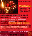 PREROKOVANJE V VAŠO PRIHODNOST PRI ORAKLJU 0904177