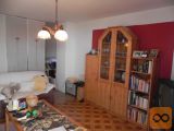 Ankaran 1 km od morja in plaže Vrstna 205 m2