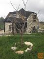 Nin Vrsi Samostojna 50 m2