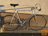 PINARELLO TREVISO 1982 CAMPAGNOLO VINTAGE CESTNO KOLO