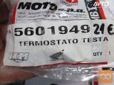 TERMOSTAT ART.5601949