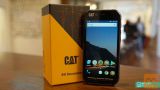 cat s41 prodam ali menjam