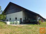 Ivančna Gorica Pokojnica 30.000 m2