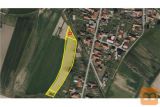 Središče ob Dravi 6156 m2