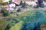 Šentrupert Zidanica 66,60 m2