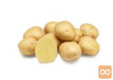 Jedilni krompir - BELI